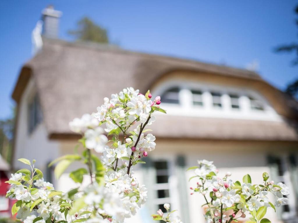 Holiday Home Reet-Seaside Glowe Exteriér fotografie